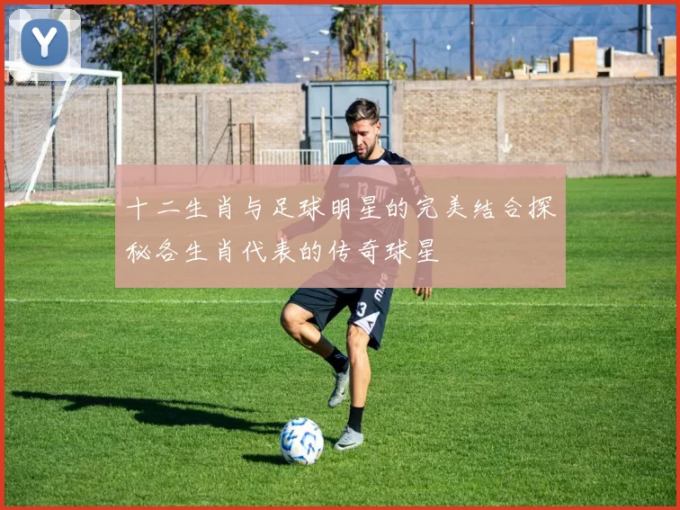 十二生肖与足球明星的完美结合探秘各生肖代表的传奇球星