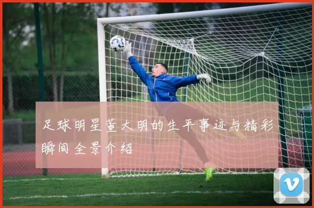 足球明星董大明的生平事迹与精彩瞬间全景介绍